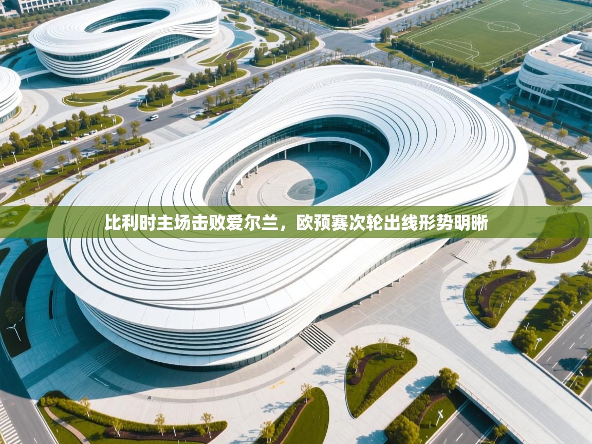 开云体育在线入口-比利时主场击败爱尔兰，欧预赛次轮出线形势明晰  第1张