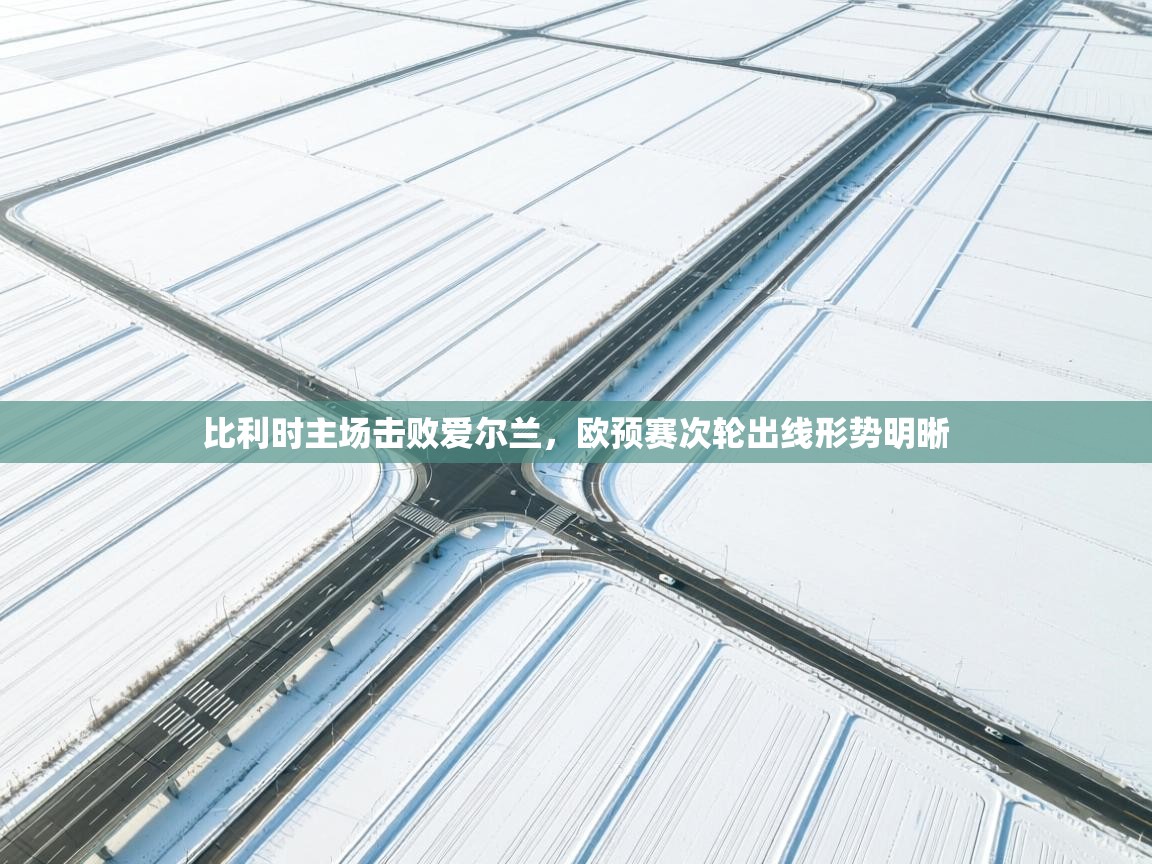 开云体育在线入口-比利时主场击败爱尔兰，欧预赛次轮出线形势明晰  第2张