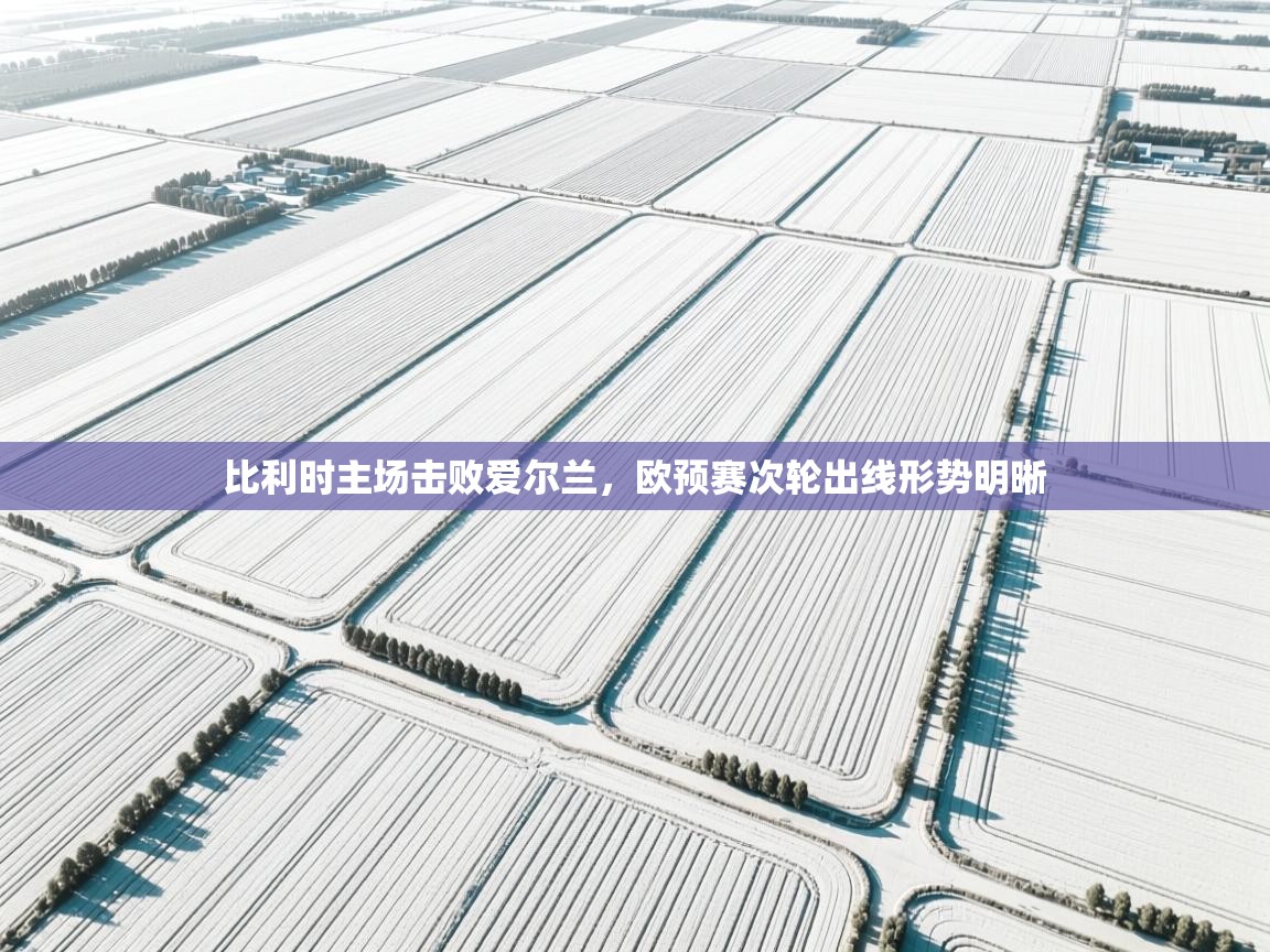 开云体育在线入口-比利时主场击败爱尔兰，欧预赛次轮出线形势明晰  第4张