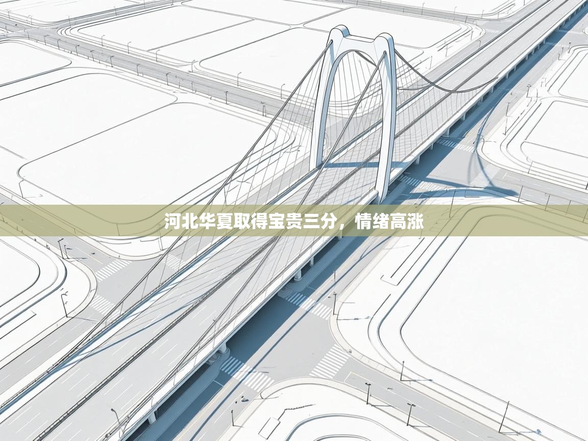 开云体育工单提交入口-河北华夏取得宝贵三分，情绪高涨  第1张