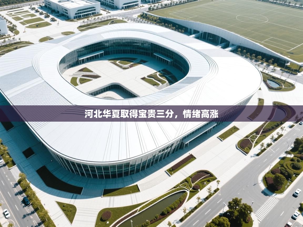 开云体育工单提交入口-河北华夏取得宝贵三分，情绪高涨  第2张