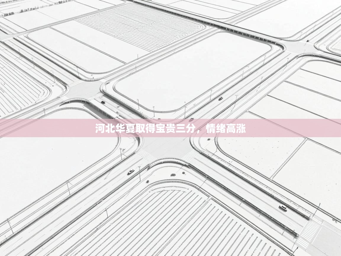 开云体育工单提交入口-河北华夏取得宝贵三分，情绪高涨  第3张